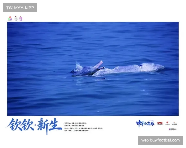 粤港澳三地同心同源 吉祥物中华白海豚寓意团结